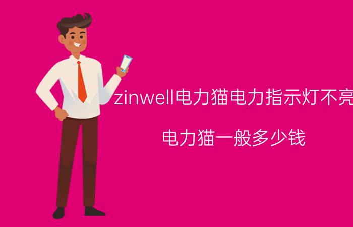 zinwell电力猫电力指示灯不亮 电力猫一般多少钱？